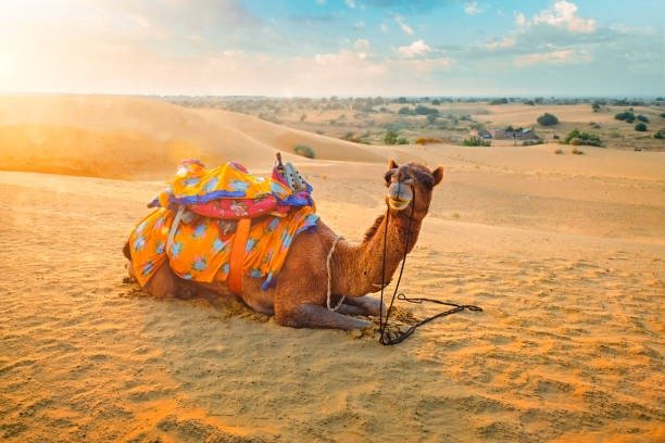Jaisalmer Rajasthan tourist destination – Dev_B Tour & Travels